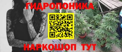 гидра Обнинск