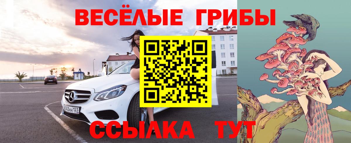 Псилоцибиновые грибы мухоморы  Галлюциногенные грибы GOLDEN TEACHER  Советский  Вход с VPN 